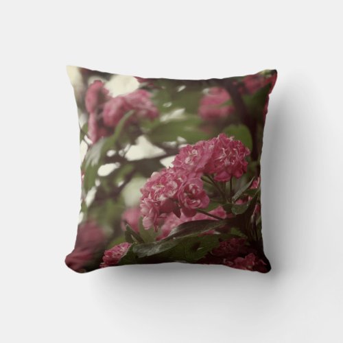 Pink Blossoms Throw Cushion 41 cm x 41 cm