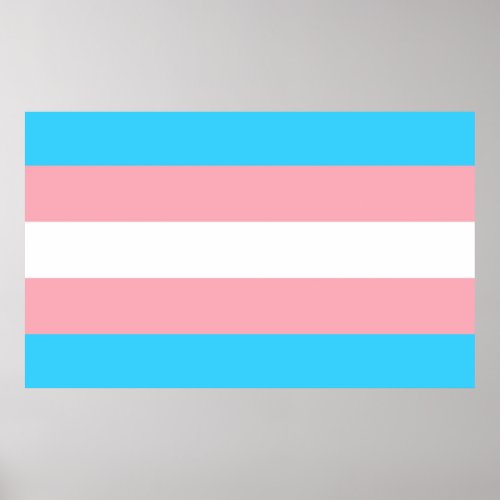 Pink Blue and White Transgender Flag   Poster