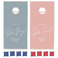 pink blue baby shower gender reveal