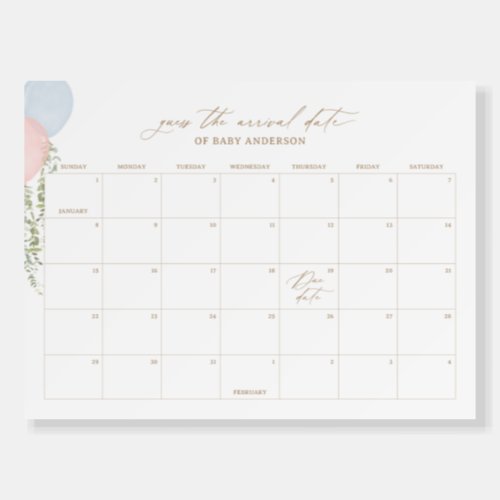 Pink Blue Balloon Baby Shower Due Date Calendar Foam Board