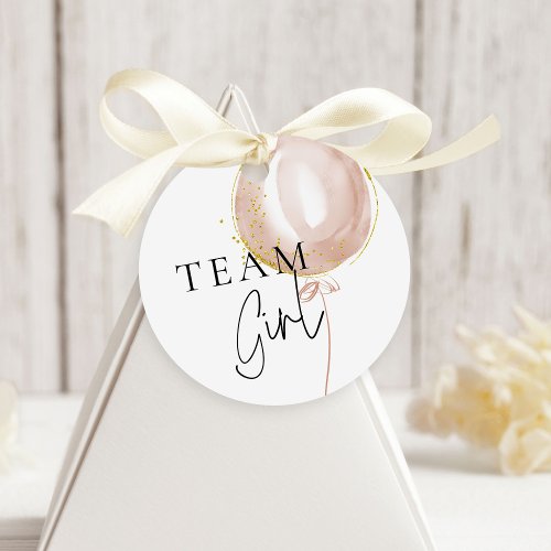 Pink  Blue Balloon Gender Reveal Team Girl Favor Tags