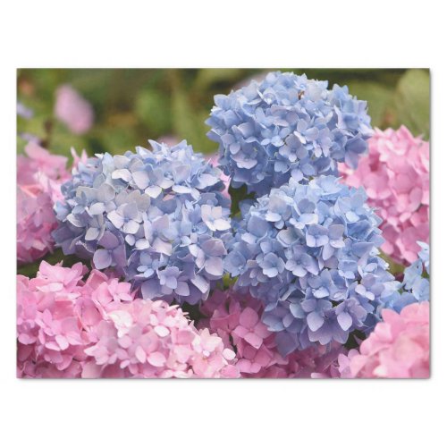 Pink Blue Hydrangea Flower Gender Reveal Tissue Paper