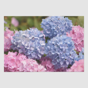 Pink Blue Hydrangea Flower Gender Reveal Tissue Paper