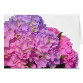 Pink Blue Hydrangeas elegant pink purple flowers (Front Horizontal)