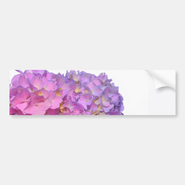 Pink Blue Hydrangeas elegant pink purple flowers Bumper Sticker (Front)