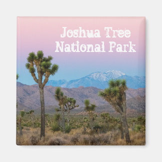 Pink Blue Joshua Tree National Park Souvenir Magnet