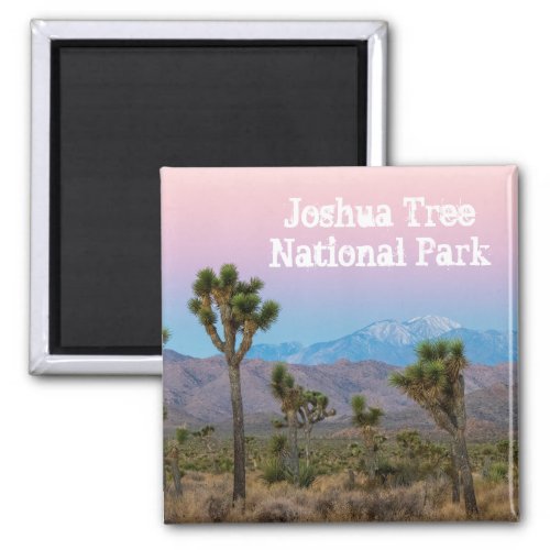 Pink Blue Joshua Tree National Park Souvenir Magnet