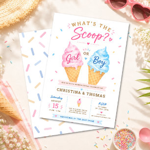 Pink Blue Summer Baby Gender Reveal Party Invitation