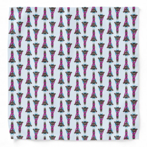 Pink Blue Tumbling Gymnastics Acrobatics Dancer Bandana