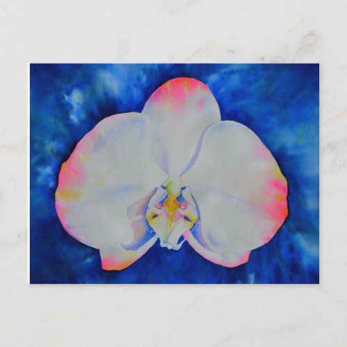 Pink Blush Orchid Postcard