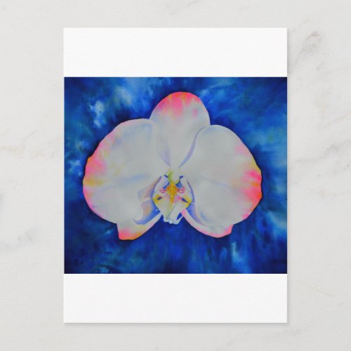 Pink Blush Orchid Postcard