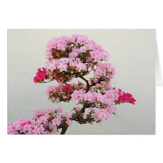 Pink Bonsai Tree Cards (Front Horizontal)
