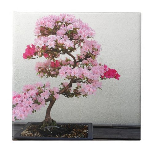 Pink Bonsai Tree Tile