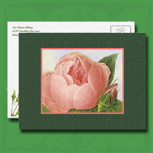 Pink Botanical Rose Editable Return Address Postcard