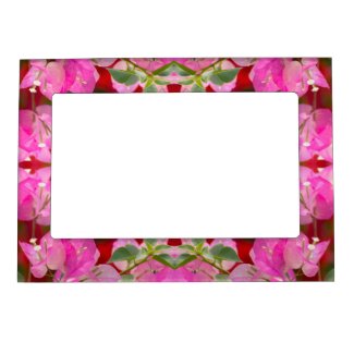 Pink Bougainvillea flower