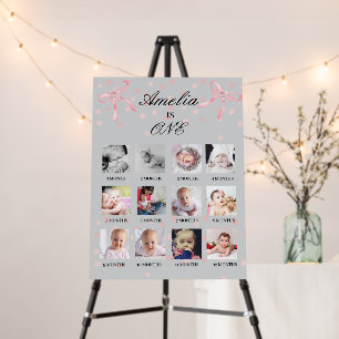 Pink Bow Coquette Girl First Year Photo Milestone  Foam Board