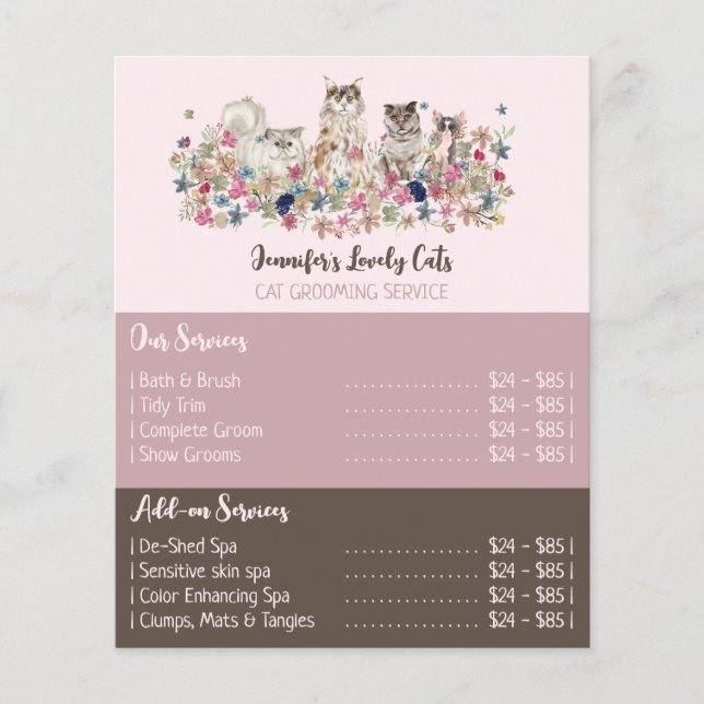 Pink Brochure Cats Groomer Service Offers Flyer (Front)