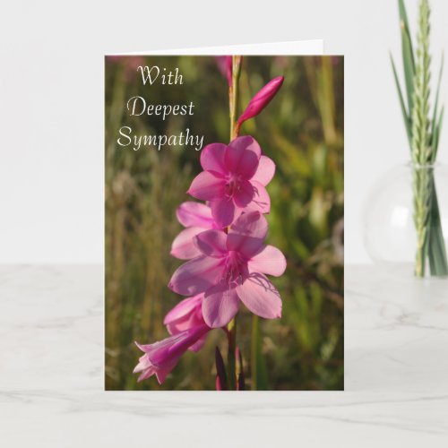 Pink Bugle Lily Flowers Sympathy Card