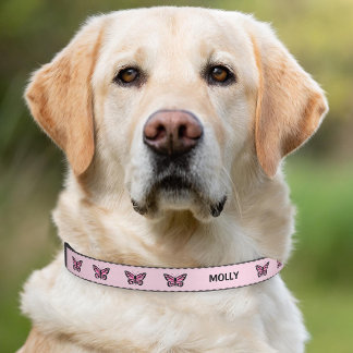 Pink Butterflies With Custom Pet Name Pet Collar