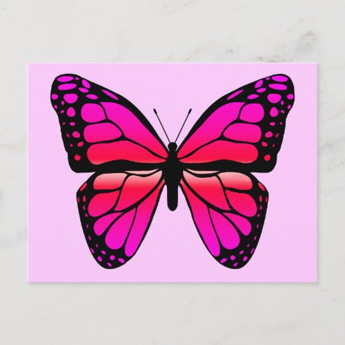 Pink Butterfly Postcard