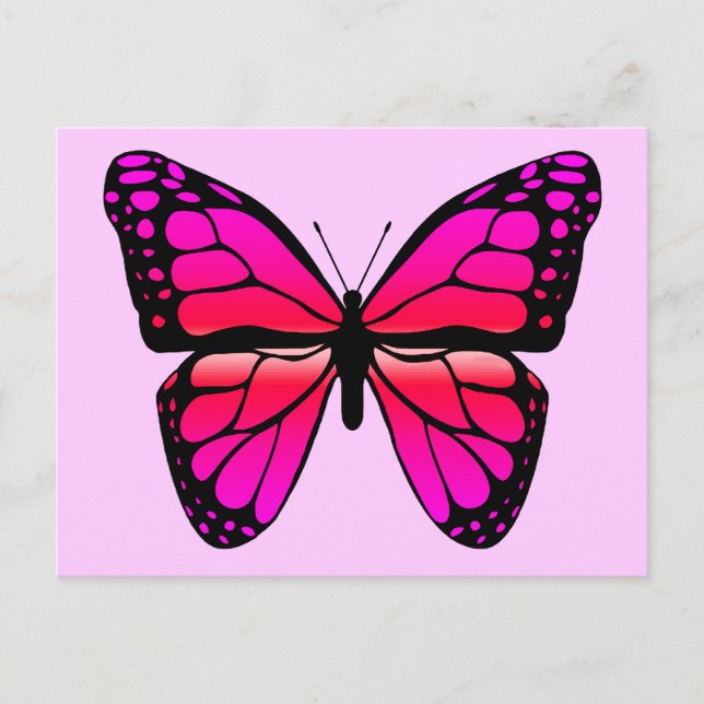 Pink Butterfly Postcard (Front)