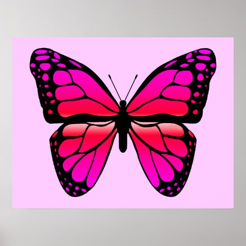 Pink Butterfly Poster