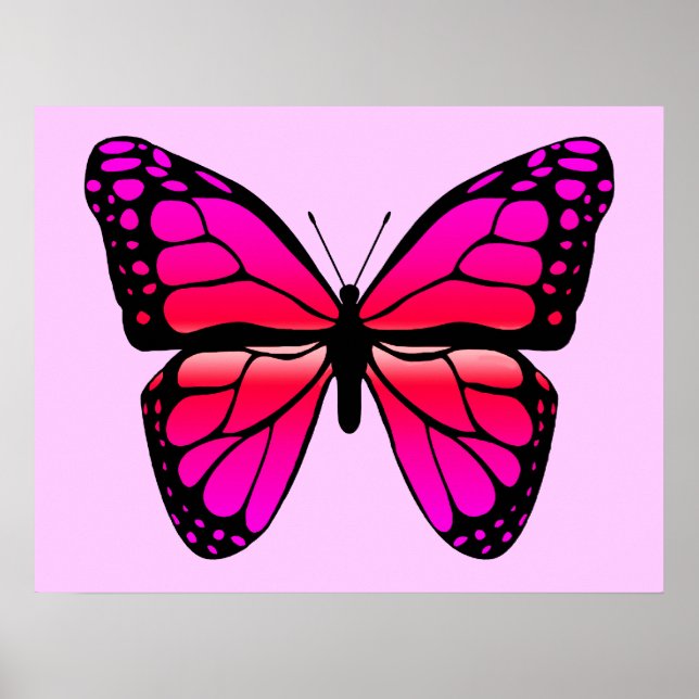 Pink Butterfly Poster (Front)