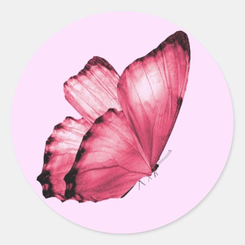 Pink Butterfly Round Envelope Seals 