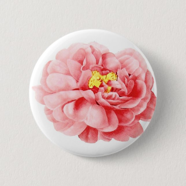 Pink Cabbage Rose Flower Shabby Cottage Button (Front)