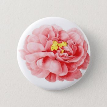 Pink Cabbage Rose Flower Shabby Cottage Button by PrintTiques at Zazzle