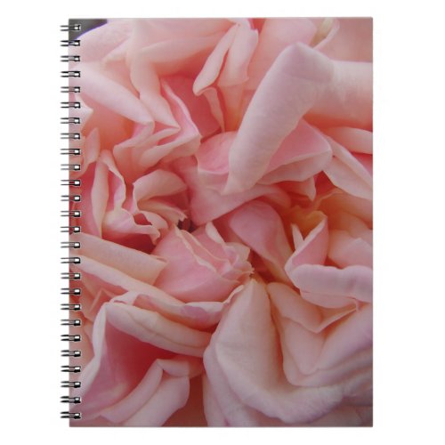 Pink Cabbage Rose Vintage Flowers Blush Flower Notebook