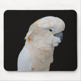 pink cacatoo mouse pad