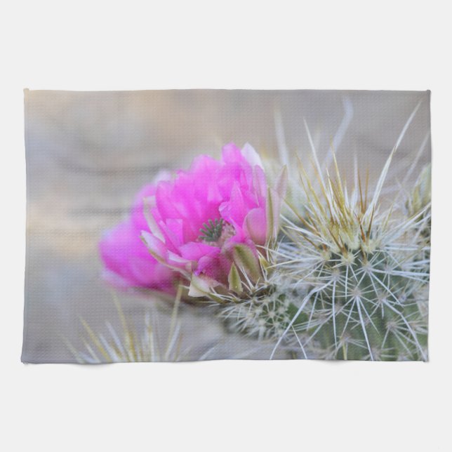 Pink Cactus blooms Kitchen Towel (Horizontal)