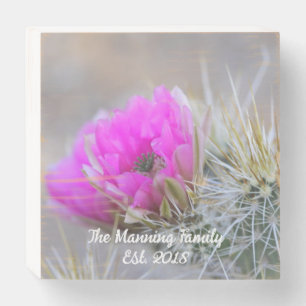 Pink cactus blooms wooden box sign