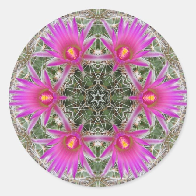 Pink Cactus Flower Classic Round Sticker (Front)