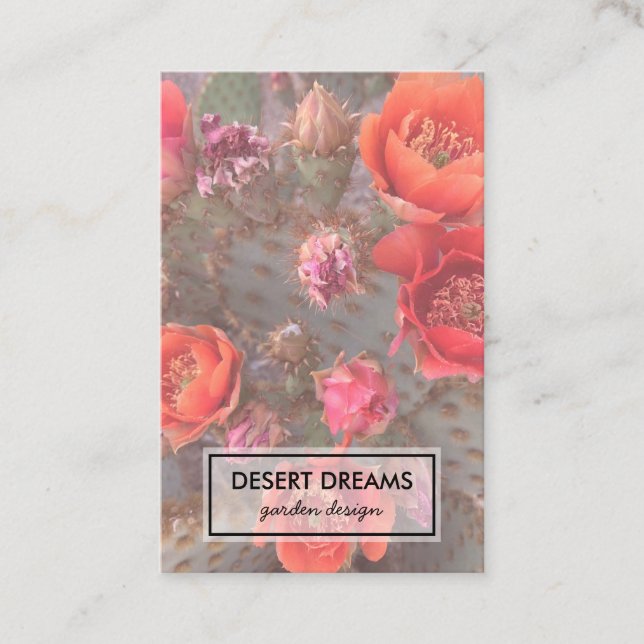 Pink Cactus Flower Desert Garden Photo Travel Business Card (Front)