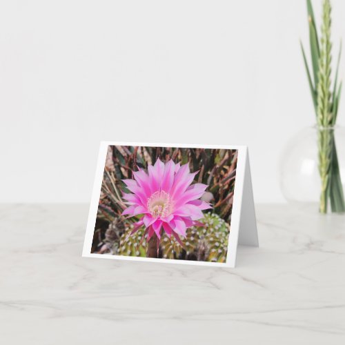 Pink Cactus Flower Folded Blank Any Occasion Card