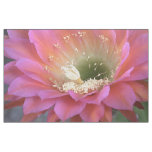 Pink Cactus flower in the desert Fabric