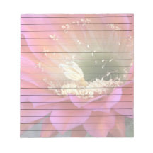 Pink cactus flower in the desert