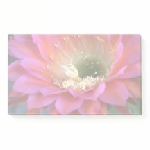 Pink cactus flower in the desert