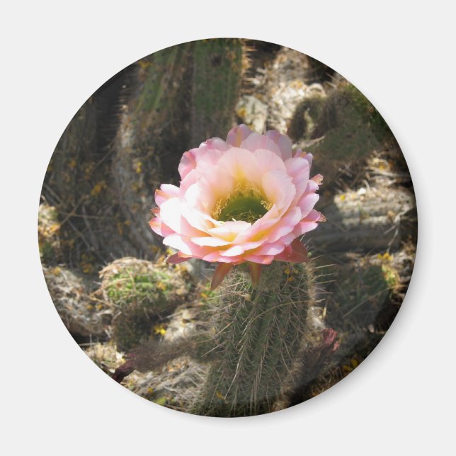 Pink Cactus Flower Magnet (Front)