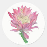 Pink Cactus Flower Small Round Sticker