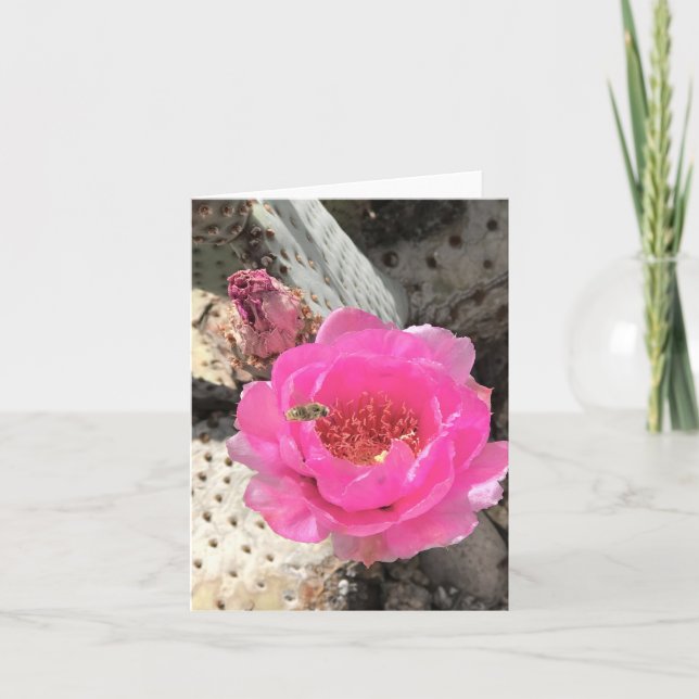 Pink Cactus Flower with Bee Note Card (Front)