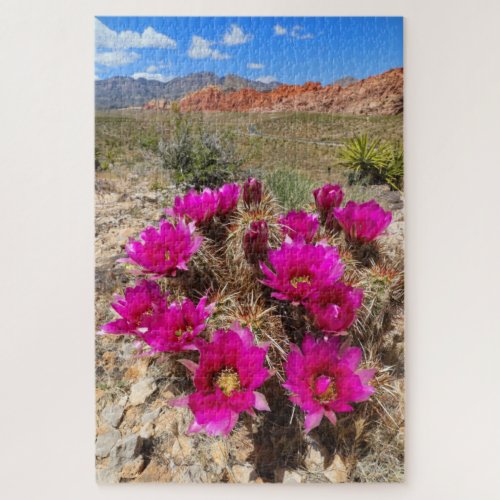 Pink cactus flowers in Red Rock Canyon NV Jigsaw Puzzle