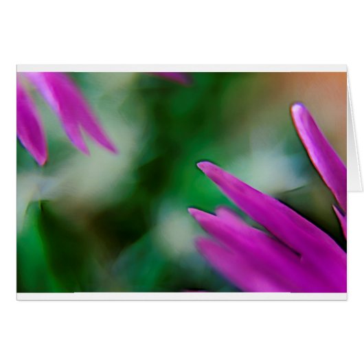 Pink Cactus Petals Cards (Front Horizontal)