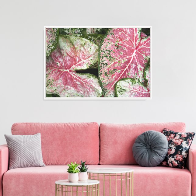 Pink Caladium Leaves Floral Canvas Print (Insitu(LivingRoom))