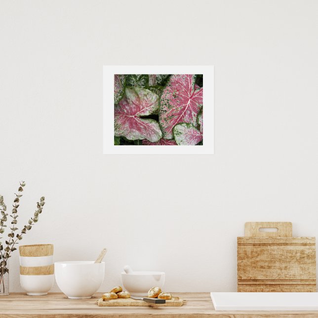 Pink Caladium Leaves Floral Poster (Kitchen)