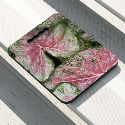 Pink Caladium Leaves Floral Seat Cushion