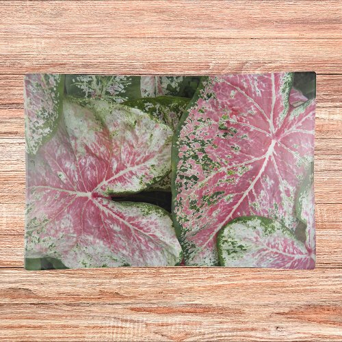 Pink Caladium Leaves Floral Trinket Tray