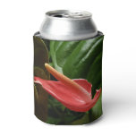 Pink Calla Lily Elegant Floral Can Cooler